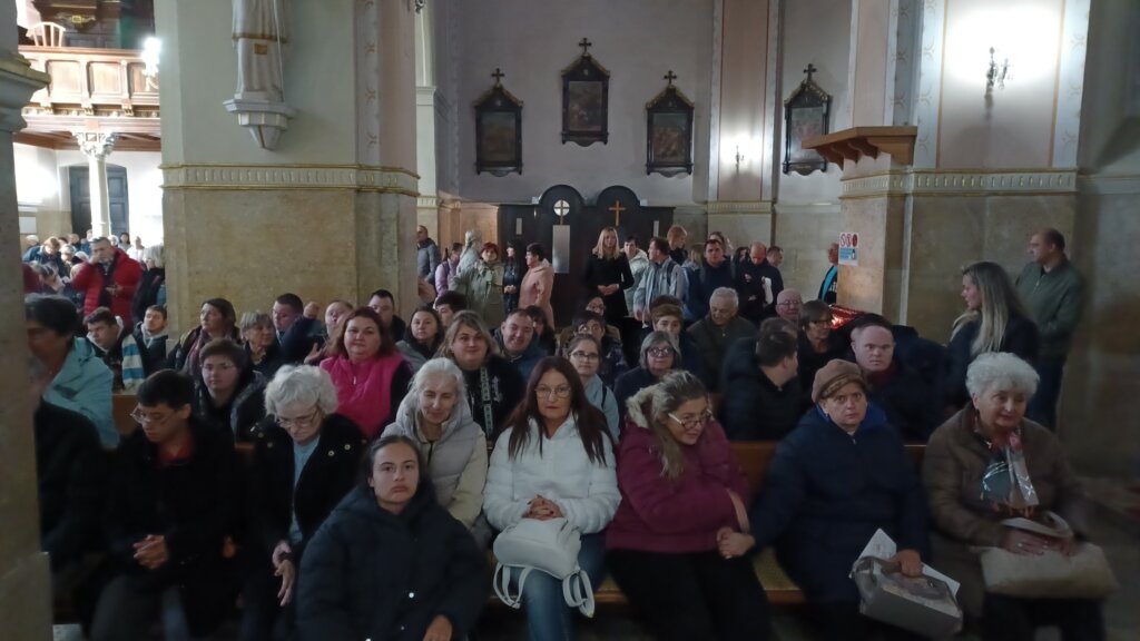 558363284 24455716720780402 7690434302749623394 N