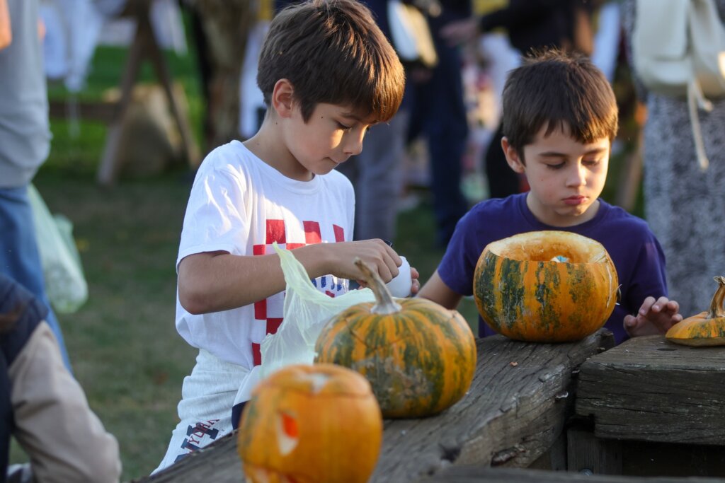 559704550 1281686020668532 2952071277841096275 N