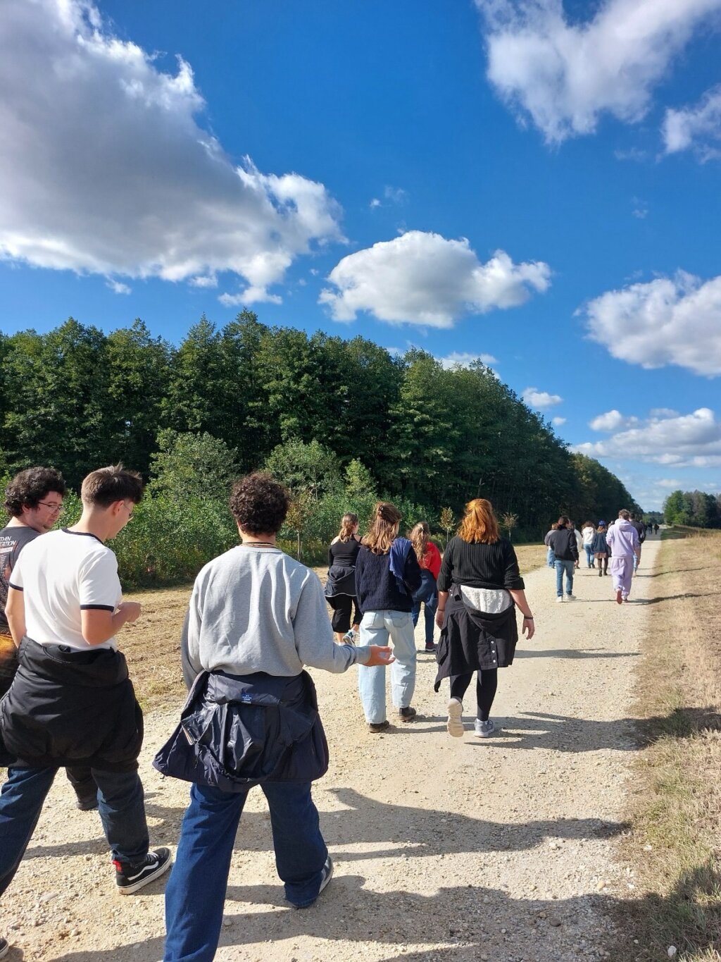 561177294 18075702251165544 4776413264594624150 N