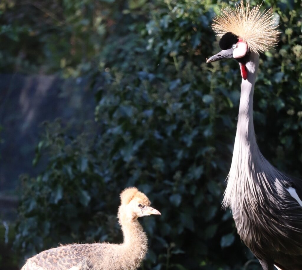 571135081 1221263520032107 1890012617490242536 N