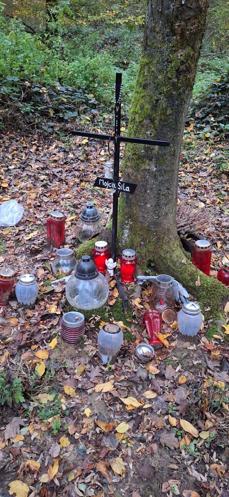 6ea45c38 2f1a 4295 8123 7f77e8036cd8