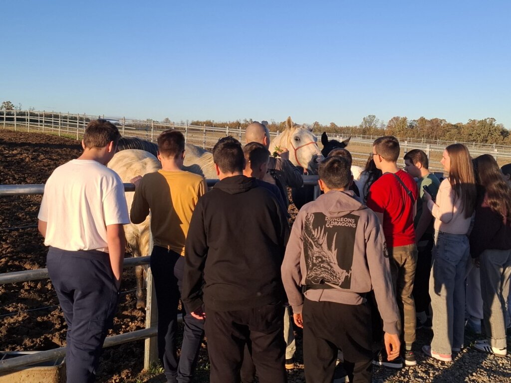 881be96d Af79 4b97 Bce5 F1353dedc009