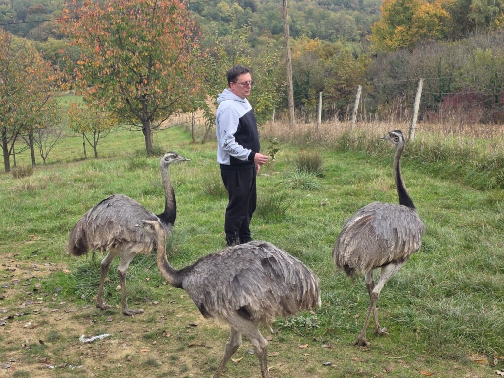 8d02b001 1d1c 47a2 Bd9f Ca5af8ad03c6