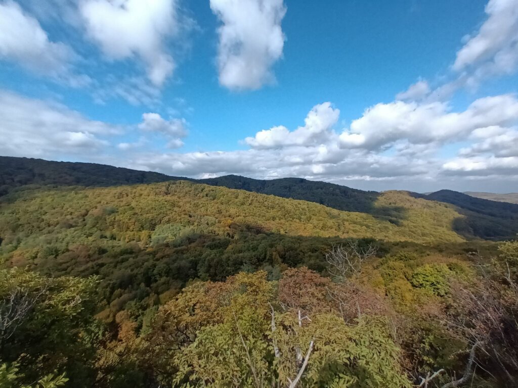 96dc908c 3f43 4e51 B54a F477d823cfc6