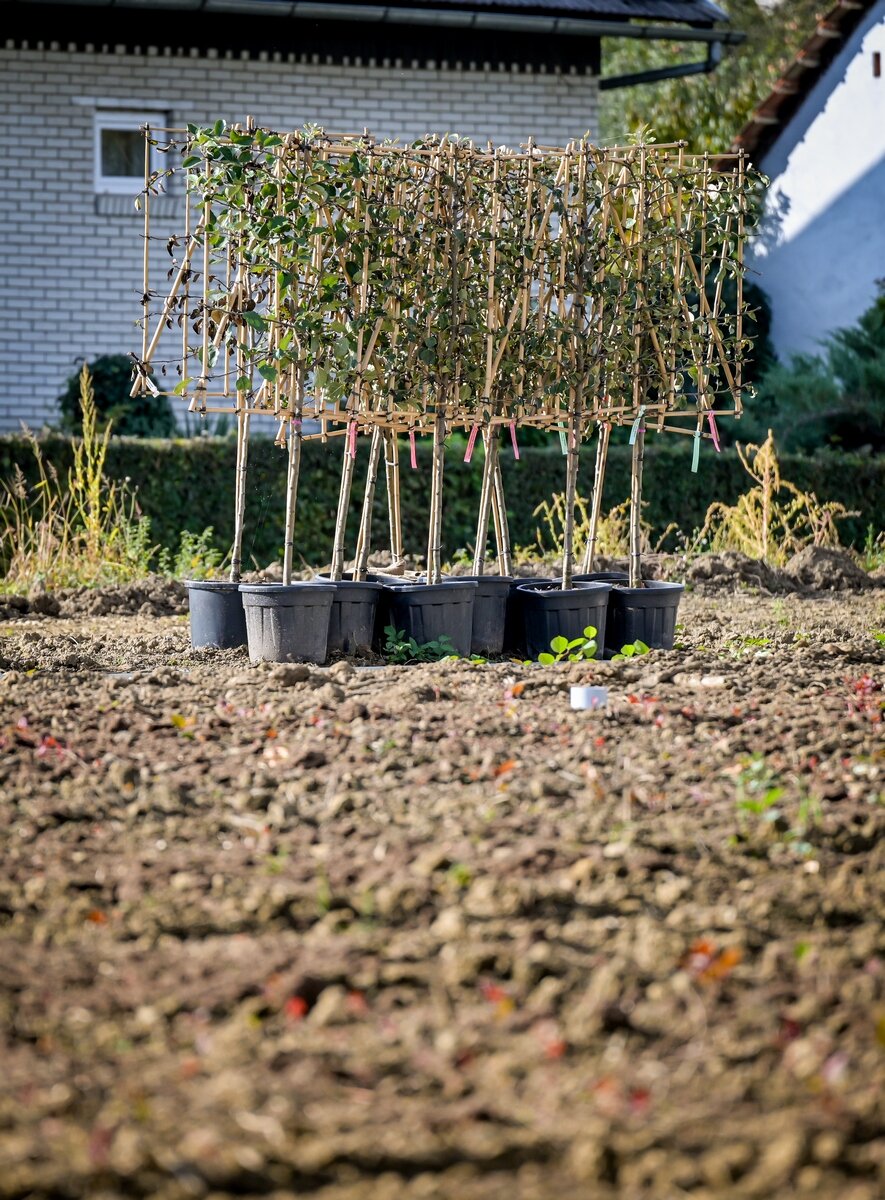 Arboretum Opeka Obilazak (39)