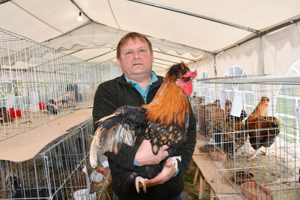 [FOTO] Milan Mišir: Križevačka kukmica poznata je po svojoj ljepoti