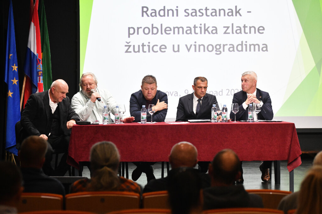 Vinogradari traže konkretne mjere u borbi protiv zlatne žutice