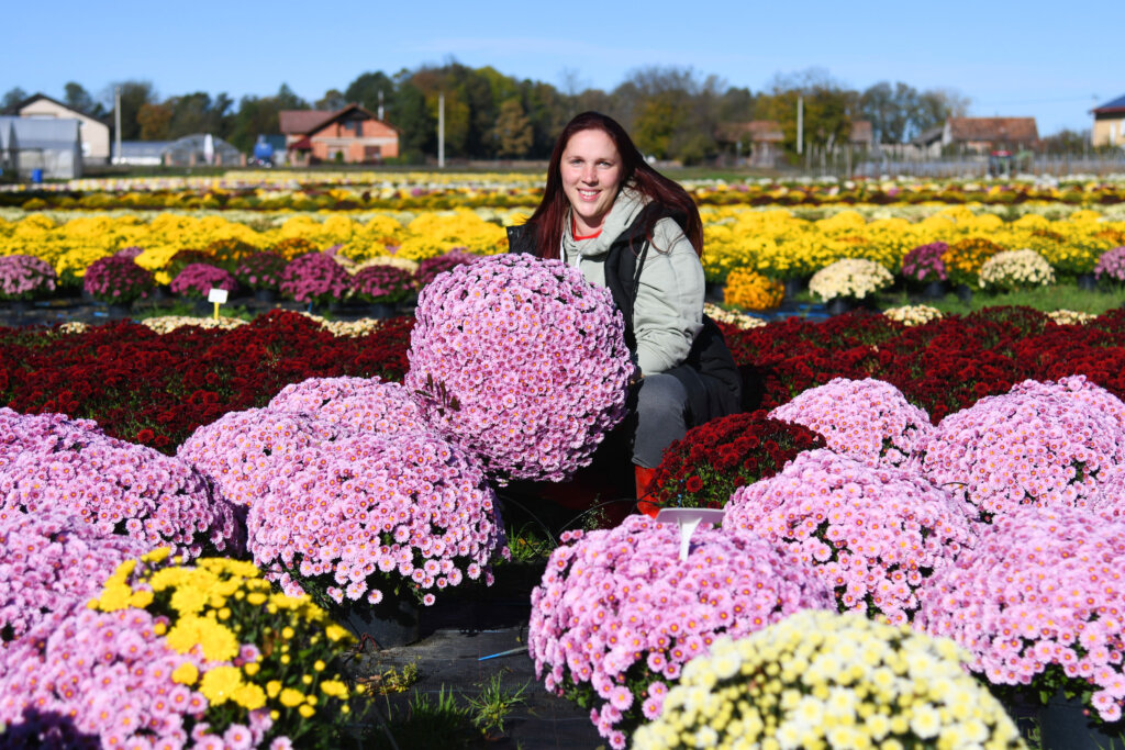 [VIDEO] OPG Mađarić iz Koprivnice jedan je od najvećih uzgajivača cvijeća u Hrvatskoj