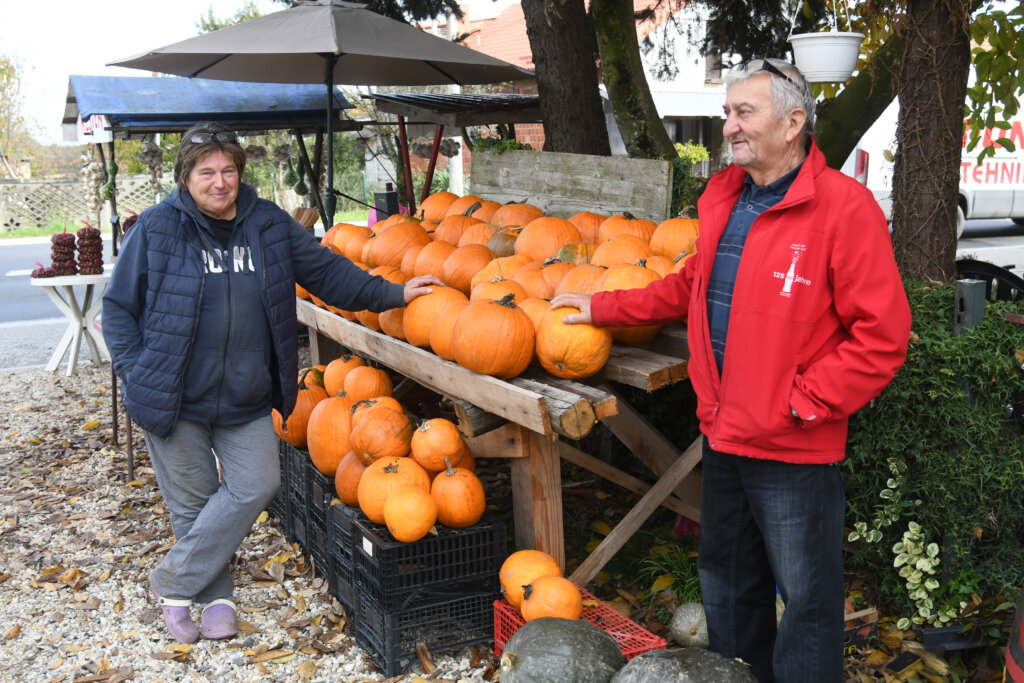 [VIDEO] Selo jagoda pretvoreno je u selo bundeva