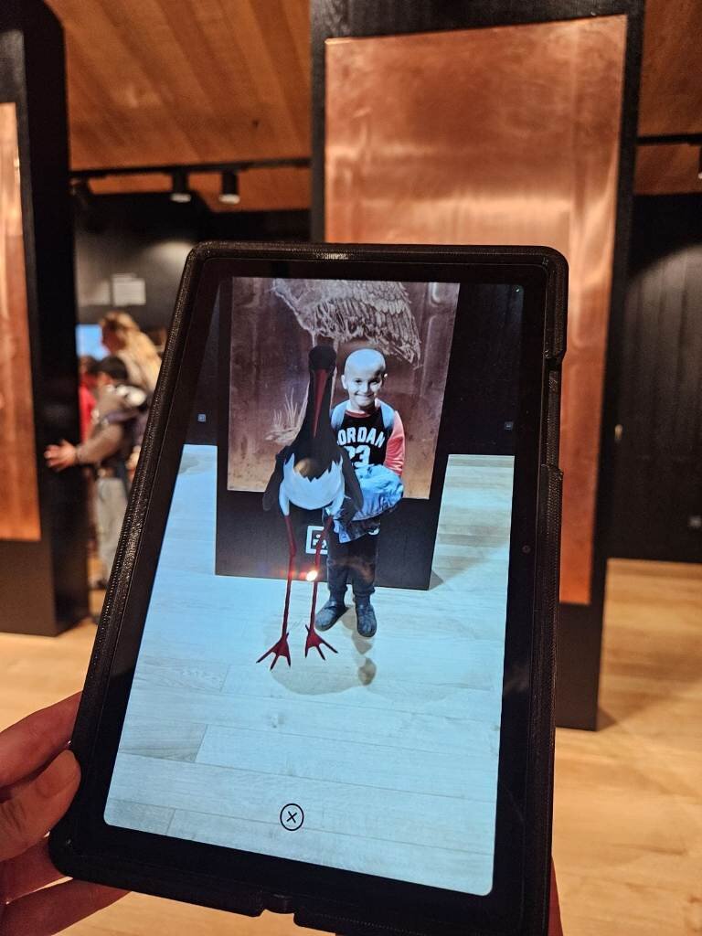 Whatsapp Slika 2025 10 15 U 17.34.38 0e302fd6