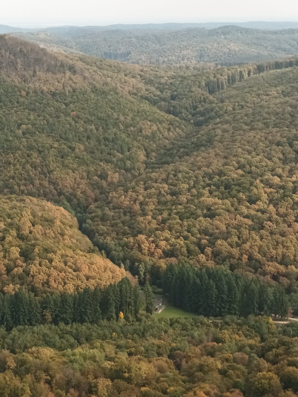 A739a0e6 1dcd 430a 8fc5 2d77270faa54