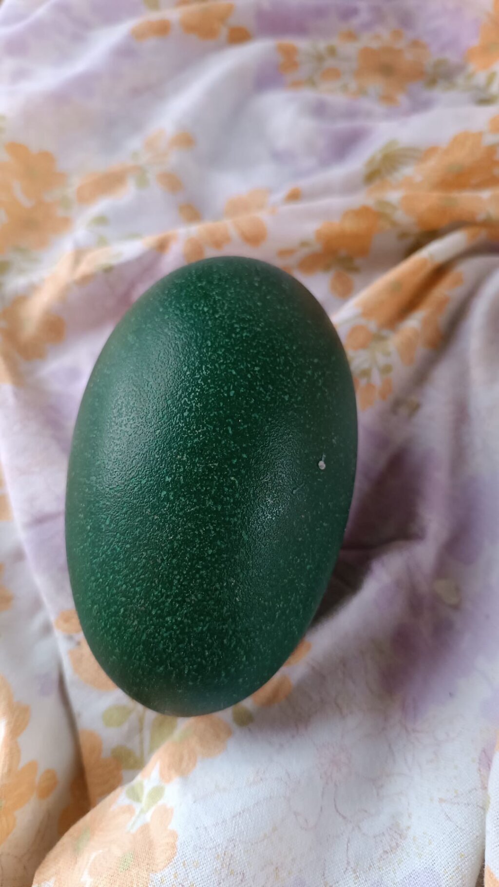 B66a61c8 F39d 4bd6 98b7 D85d49ab6026