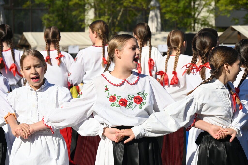 Dani Voća 1506 (70)