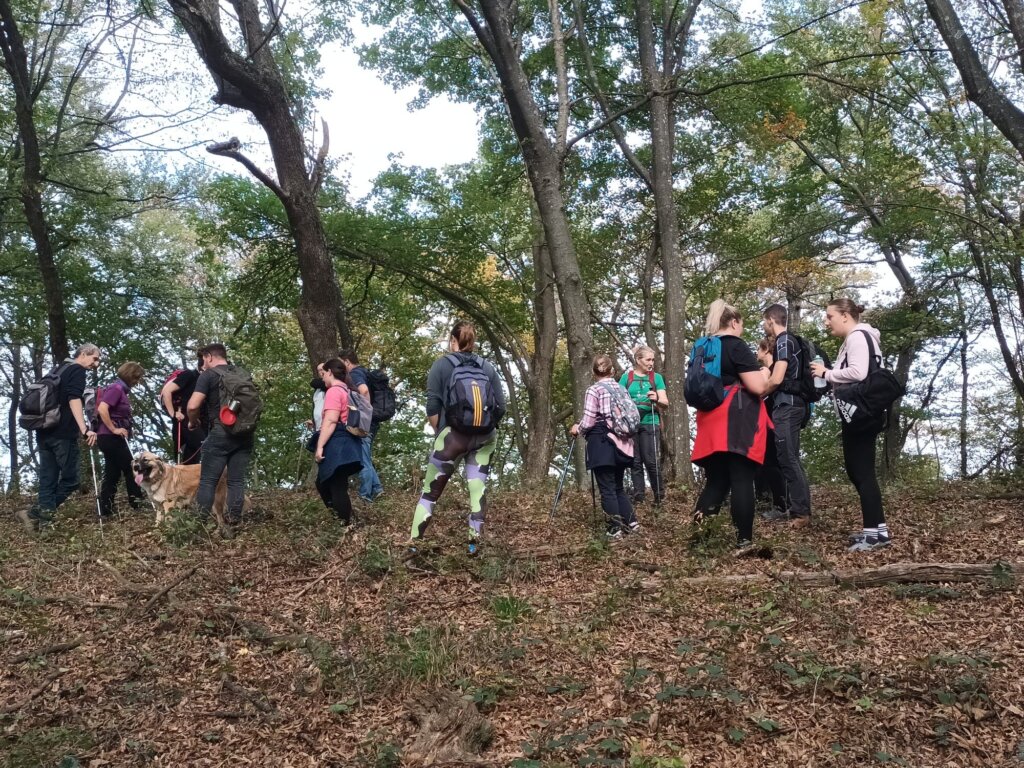 Ed119fd6 2485 47c0 968b 1858666eb816