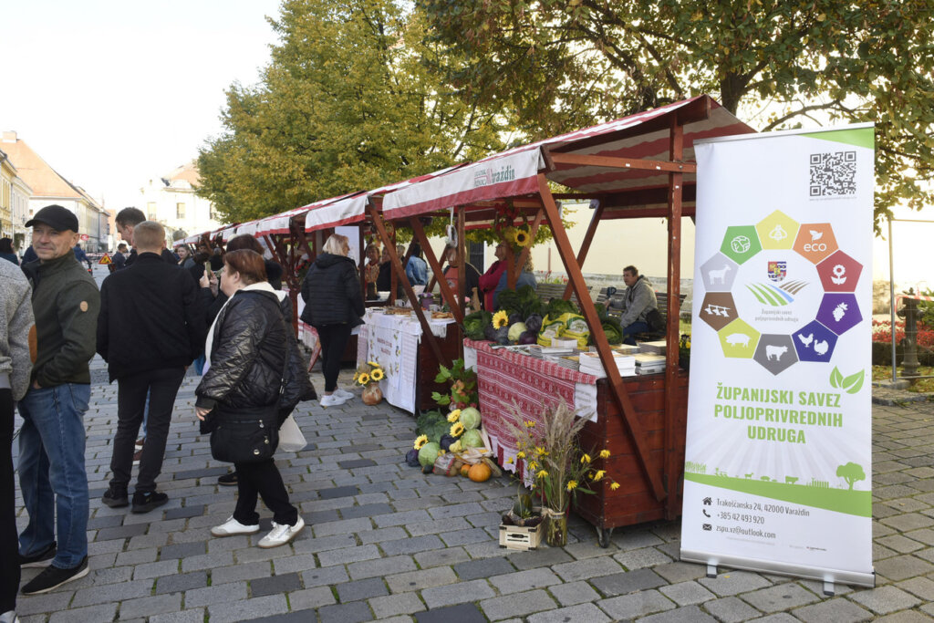 Enska Kreativnost U Ruralnom Ivotu 2