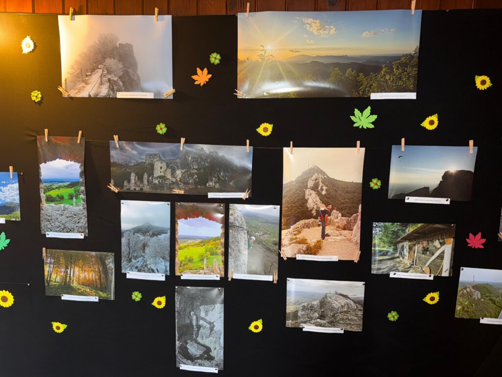 F64de00a 079b 441d 8a5e 765979d6f1fe