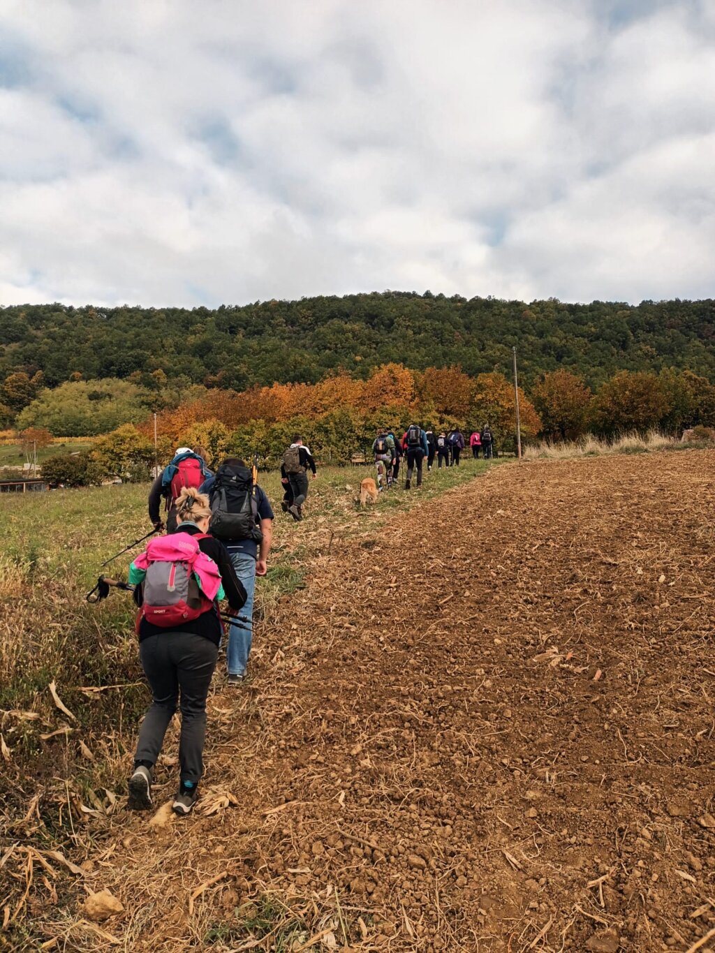 F76d85d2 Ad53 435f 83f4 391b9595001e