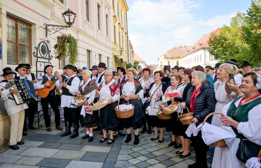 Mimohod Dan Starijih Osoba (9)