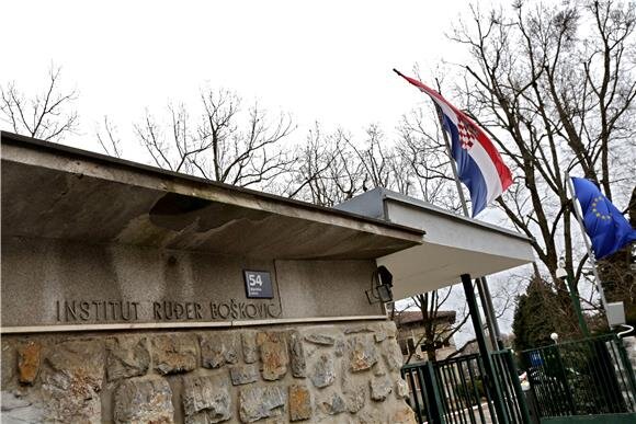 Znanstvenici Instituta Ruđer Bošković otkrili novu ulogu ključnog proteina u diobi stanica