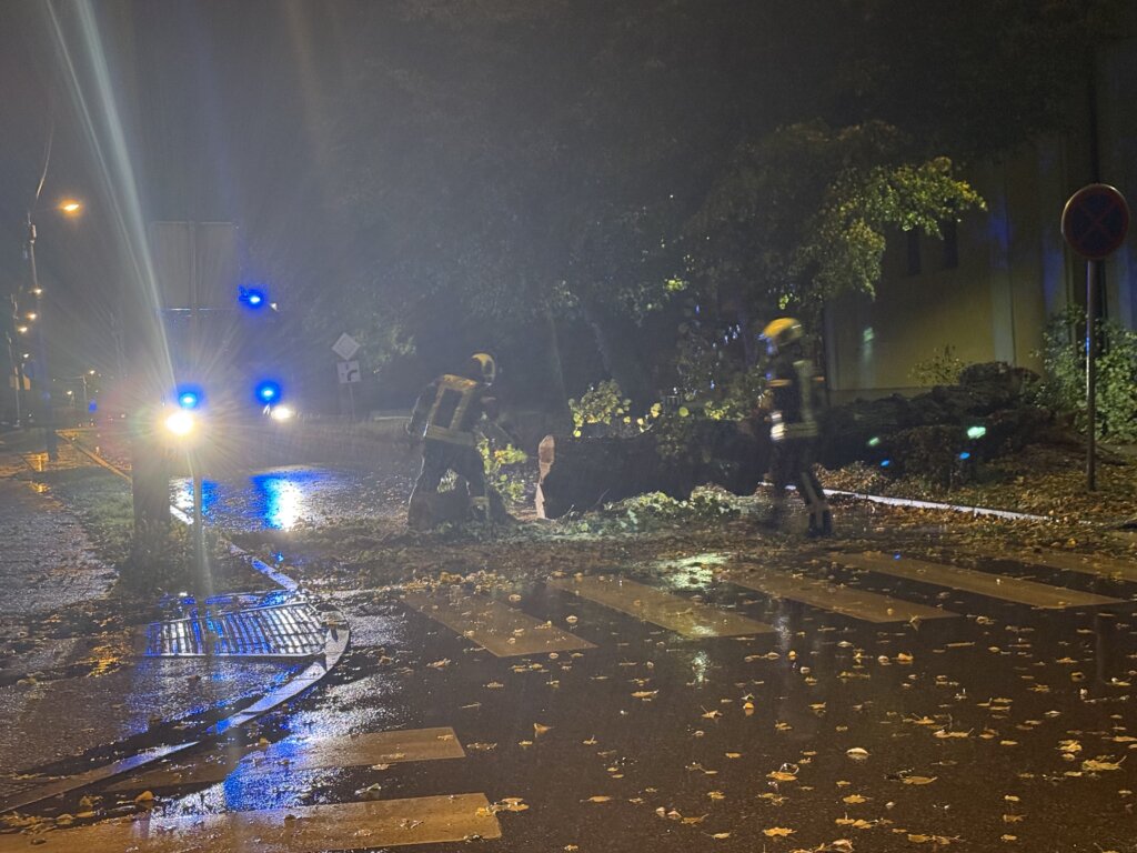 Jak vjetar i kiša na križevačkom području, intervencija vatrogasaca