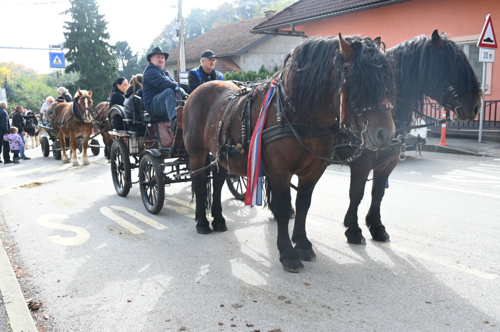 štruklijada Marija Gorica 2189 (54)