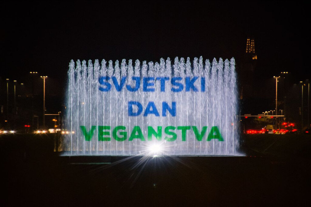 Unnamed 2025 10 31t082844.577