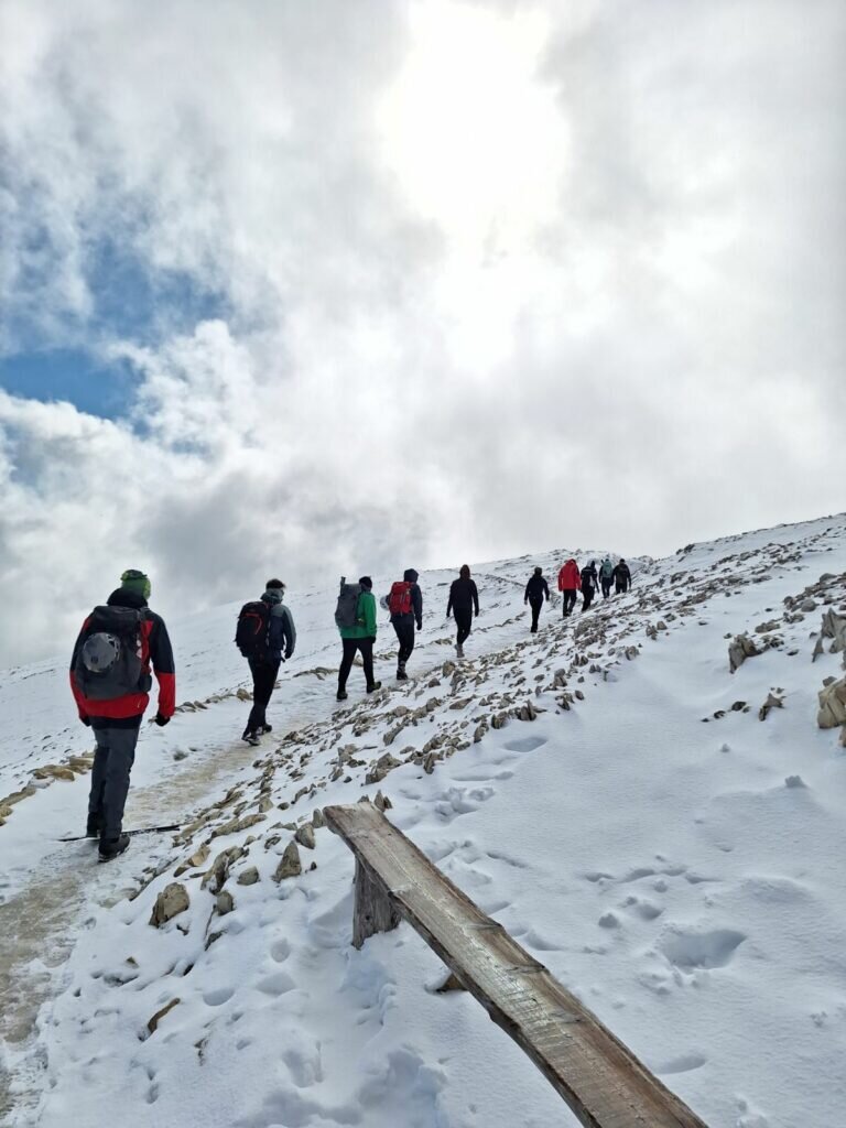 Viber Slika 2025 09 30 11 51 24 676 768x1024