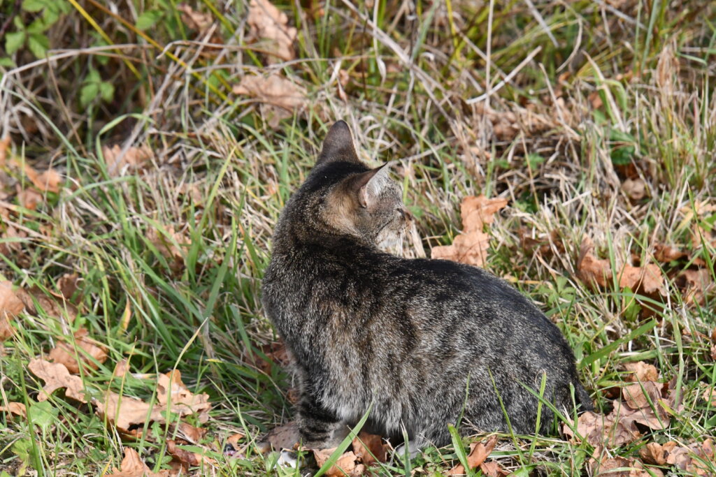 U većini predjela pretežno sunčano