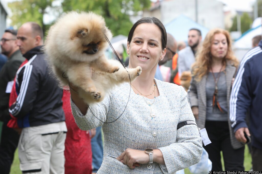 Karlovac: Me?unarodna Izloba Pasa