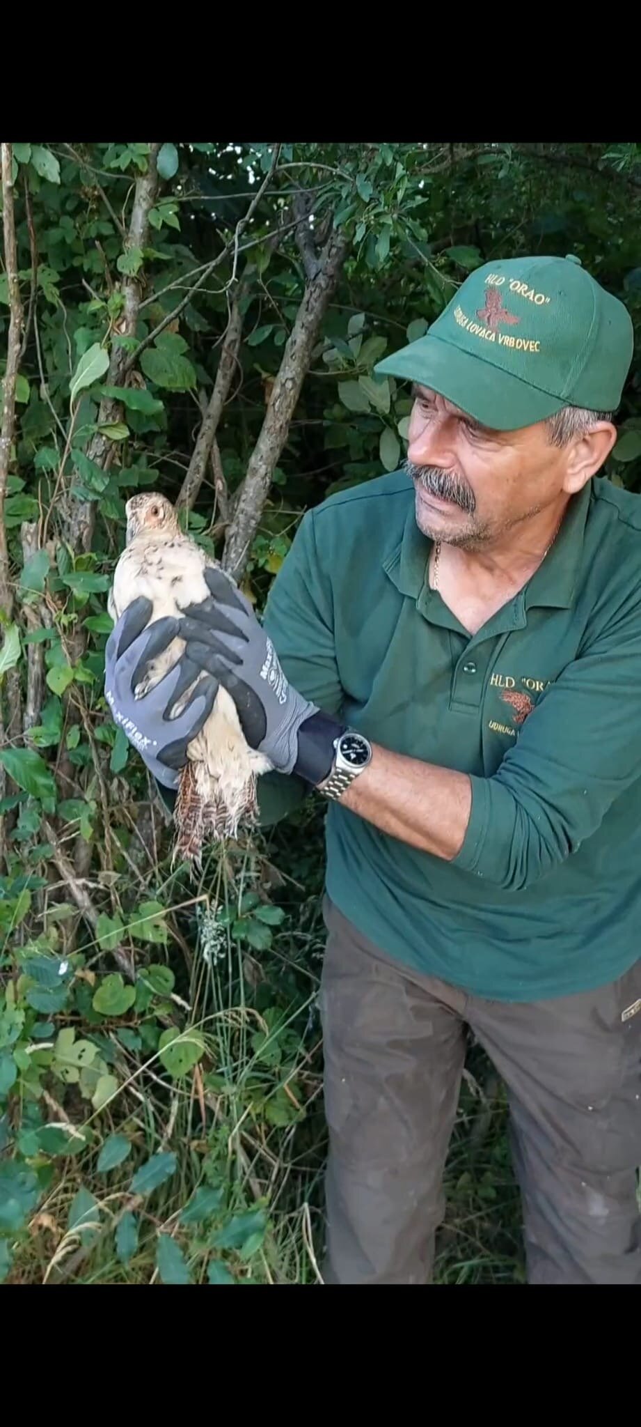 3b1c1d28 308f 48e3 B5aa F8998ca1cb4f