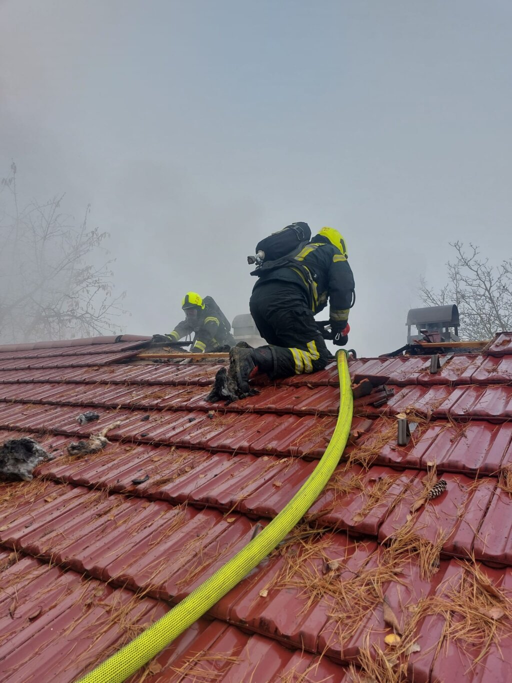 579992045 1266987932139589 3230942699531842203 N