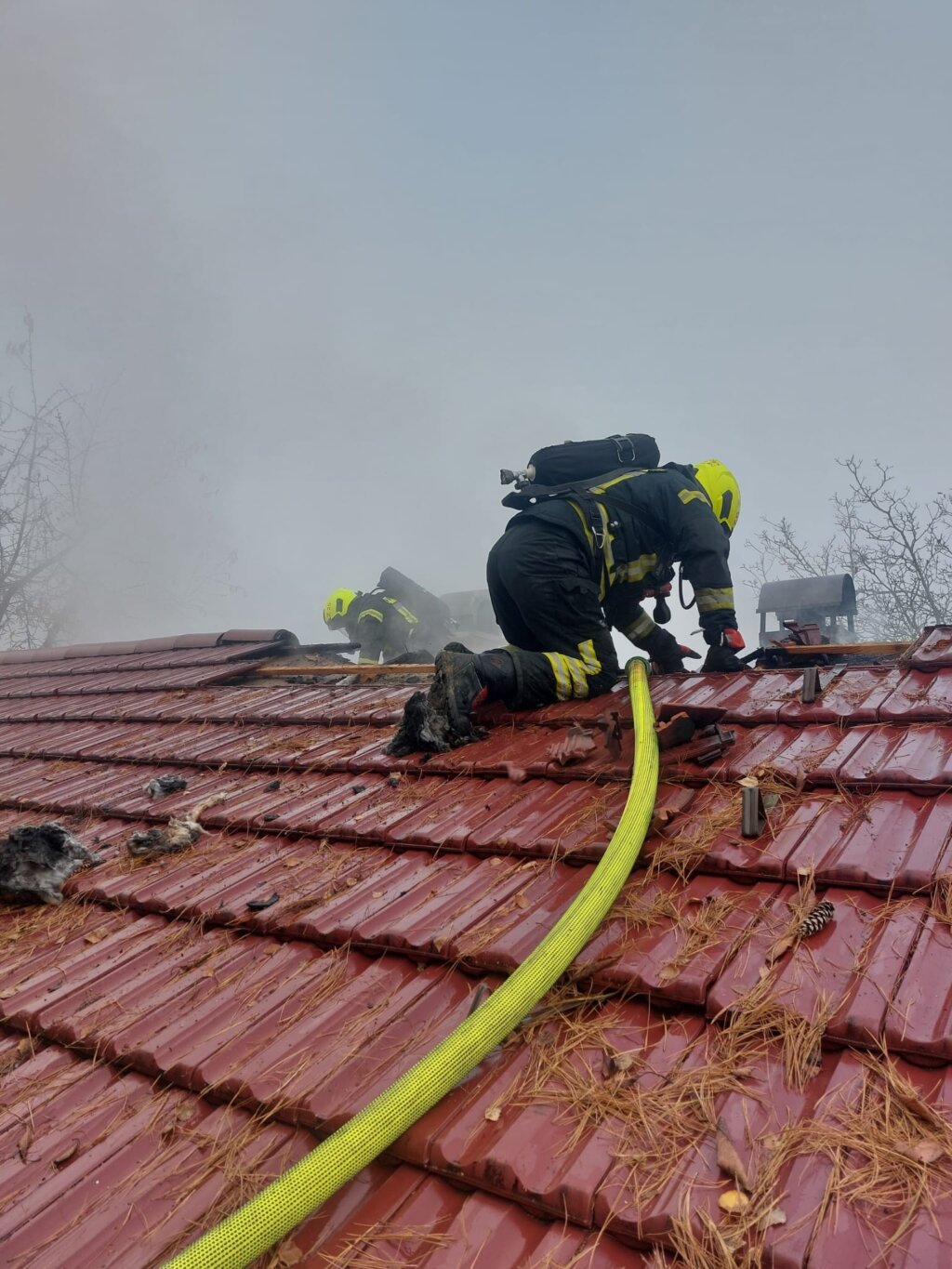 581723997 1266987975472918 7890818421316415253 N