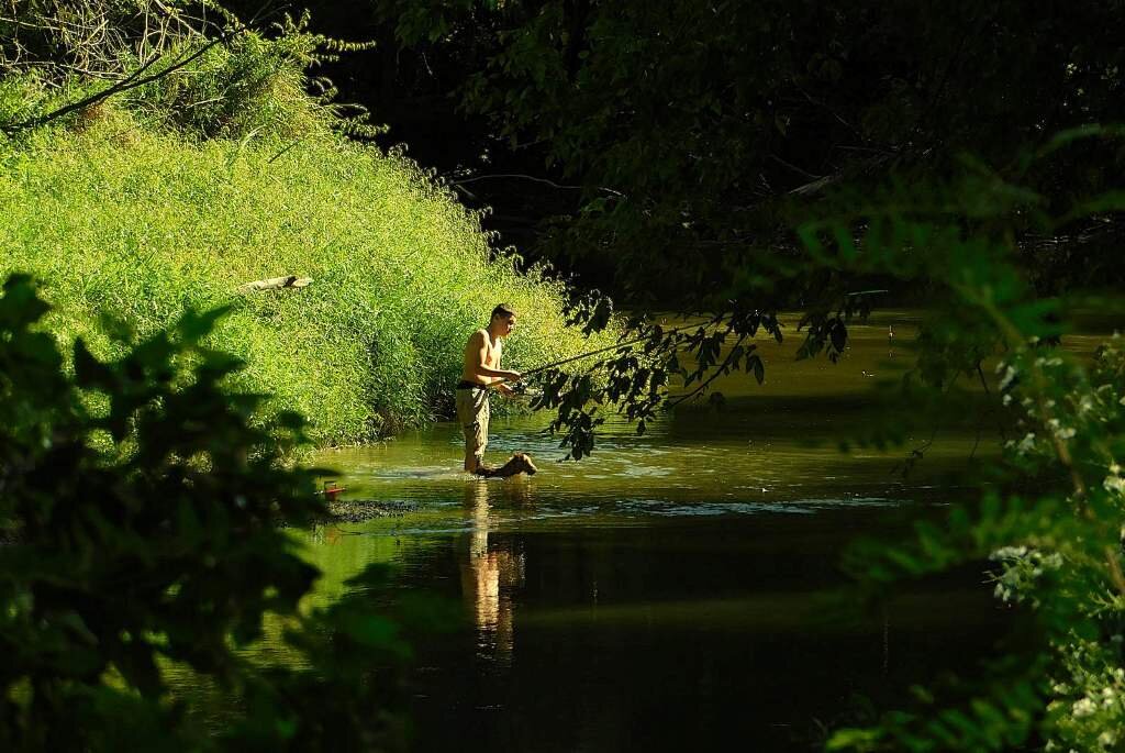 Dijanosic Daj Zagrizi