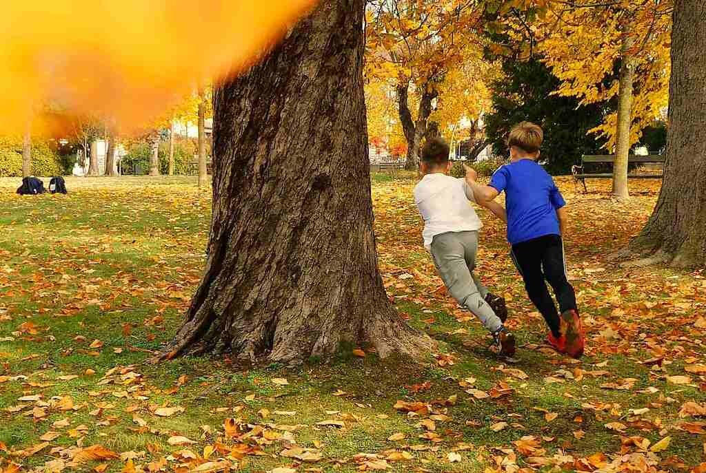 Dijanosic Jesenske Radosti 1