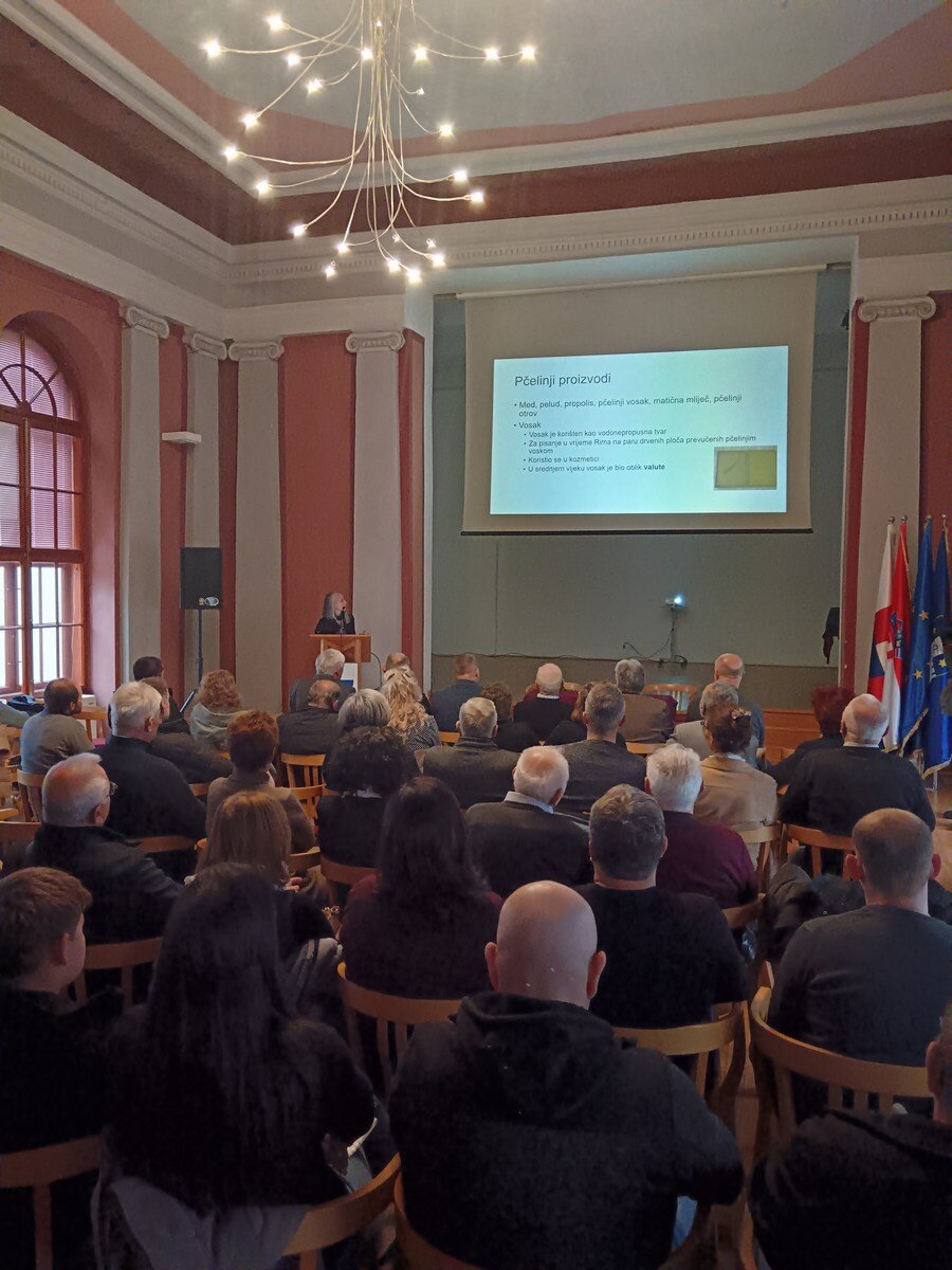 Img 20251122 104912 1763808662305