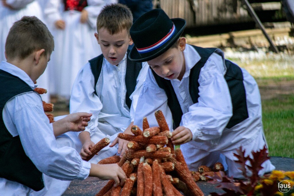 Laus Djecaci I Kocenje