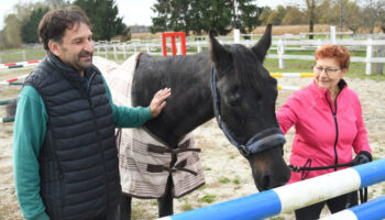 Vrbovec: Kobila Valkira Najstariji Je Konj U Rh