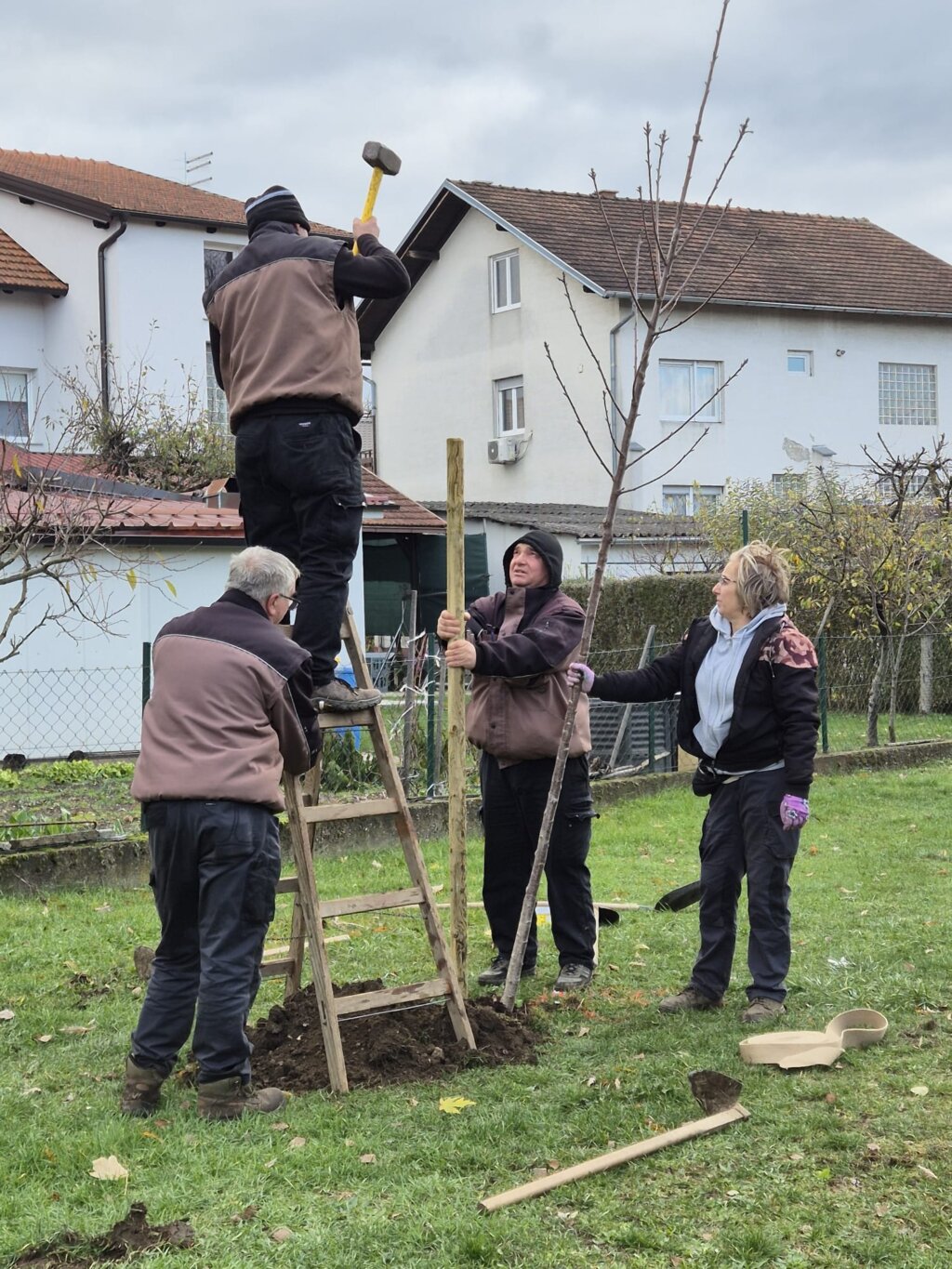 Posadena Nova Stabla