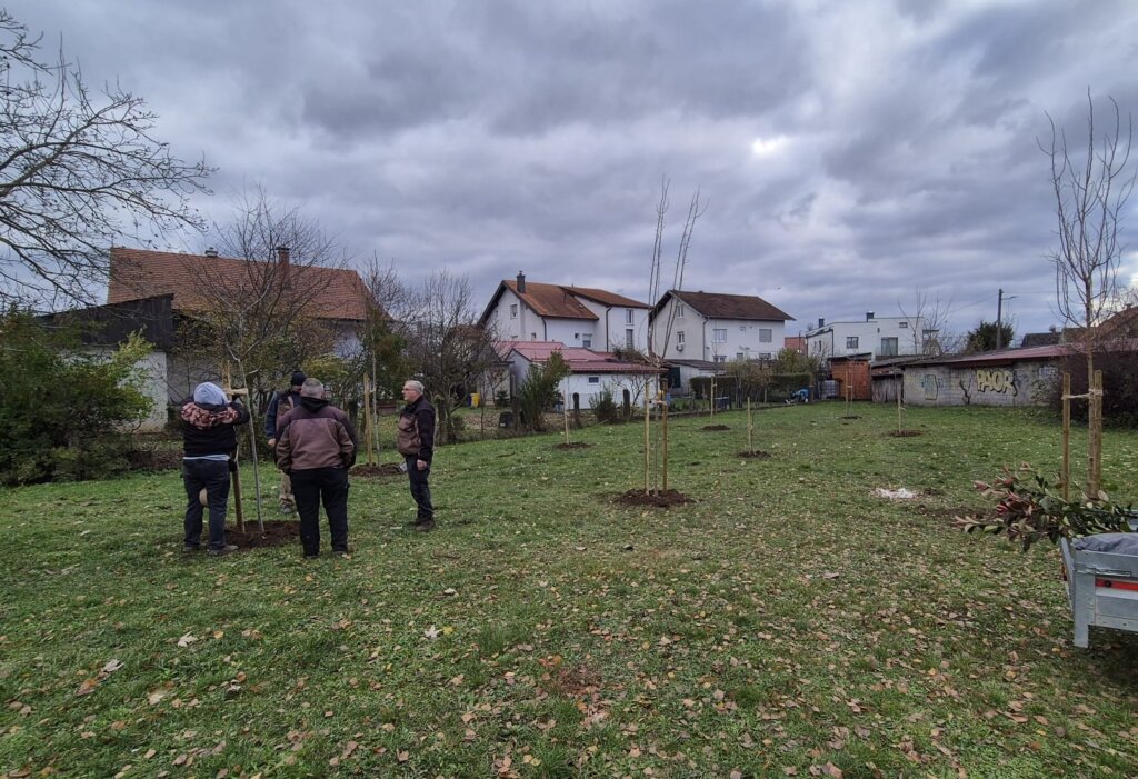 Posadena Nova Stabla1