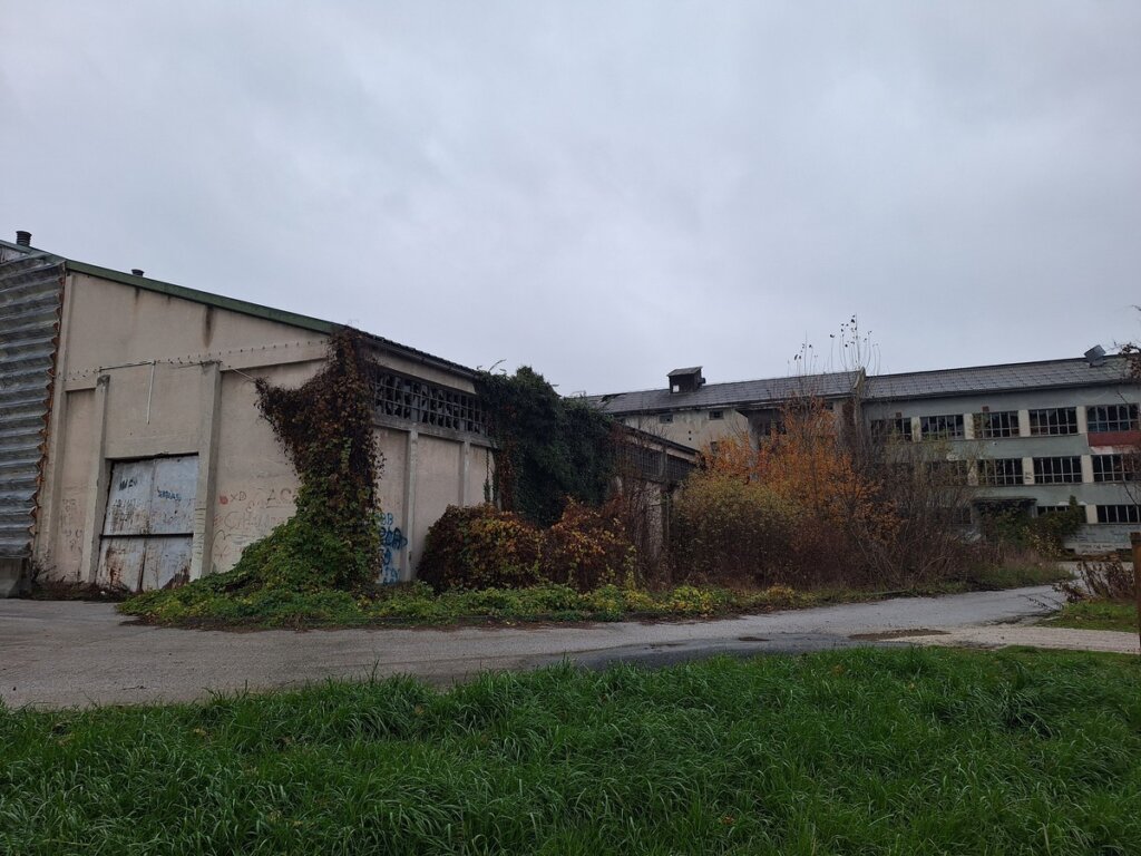 Prapovijesni Park Erika 11