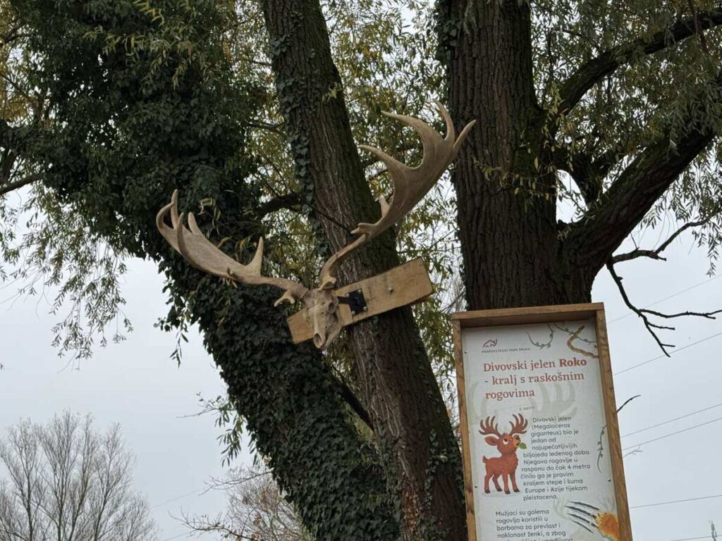 Prapovijesni Park Erika 4