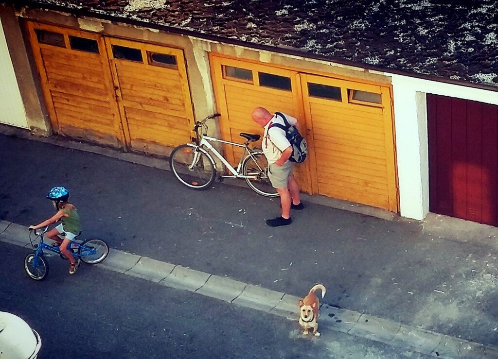 Sinjeri Odlazak U Park