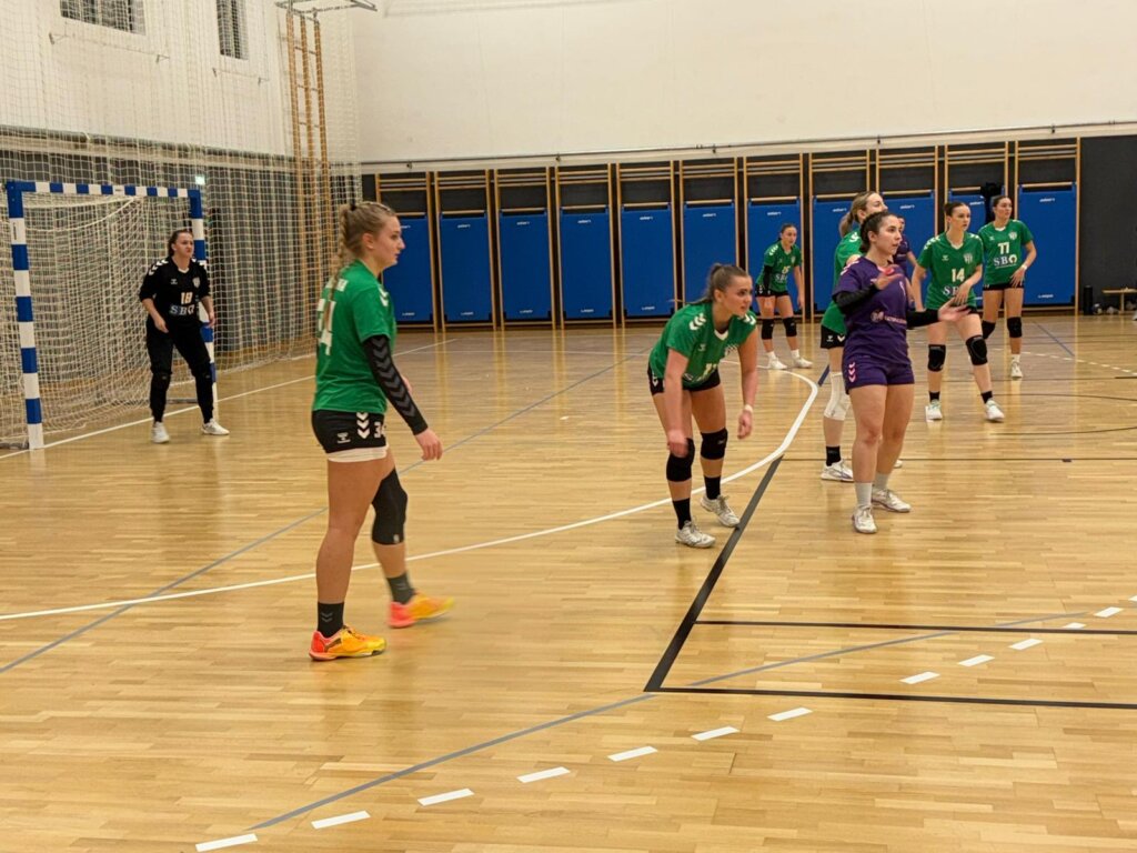 RUKOMET Zelinske rukometašice lako protiv Multinorm Cerne