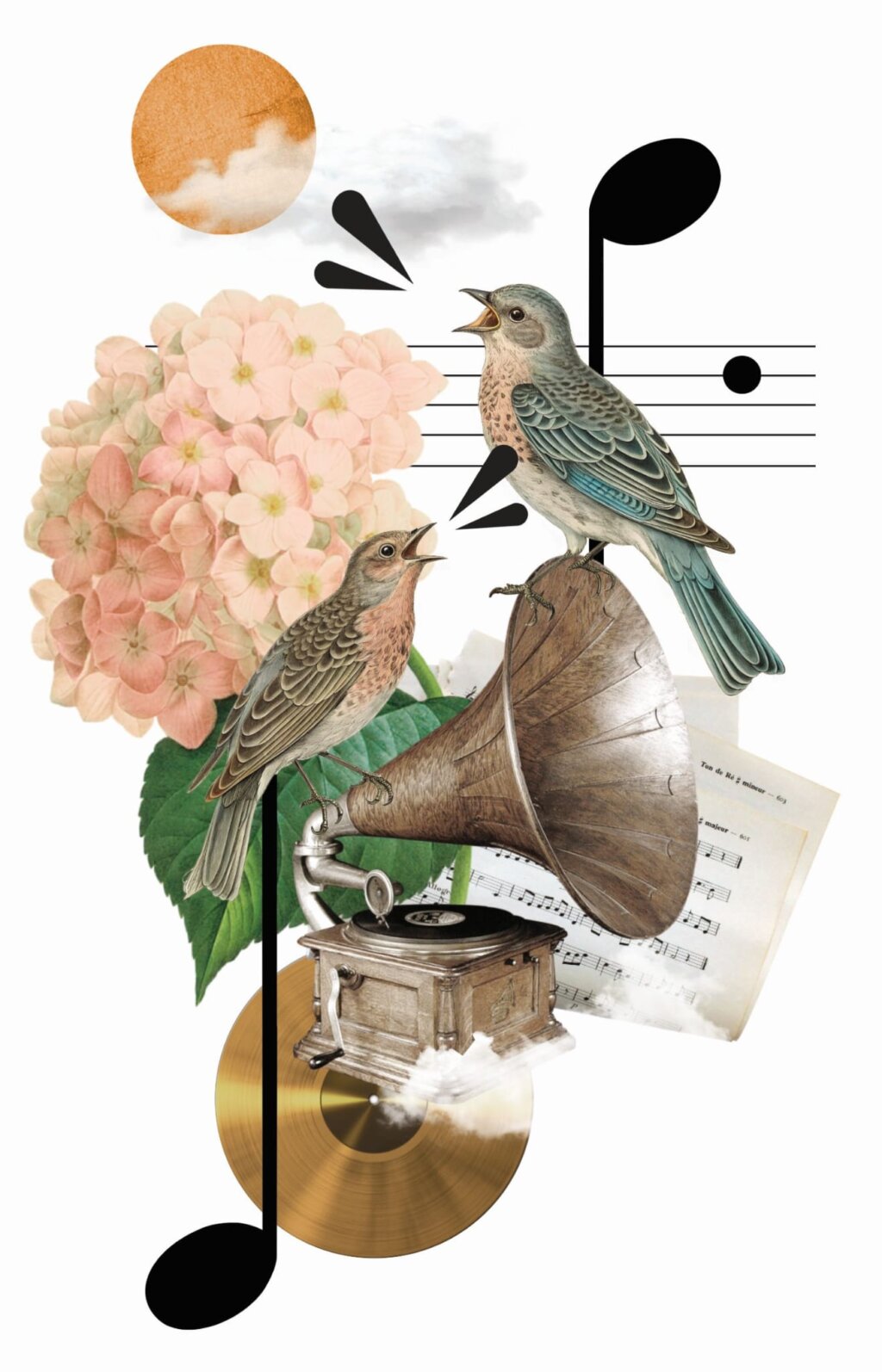 Whatsapp Slika 2025 11 13 U 19.13.38 B7146855