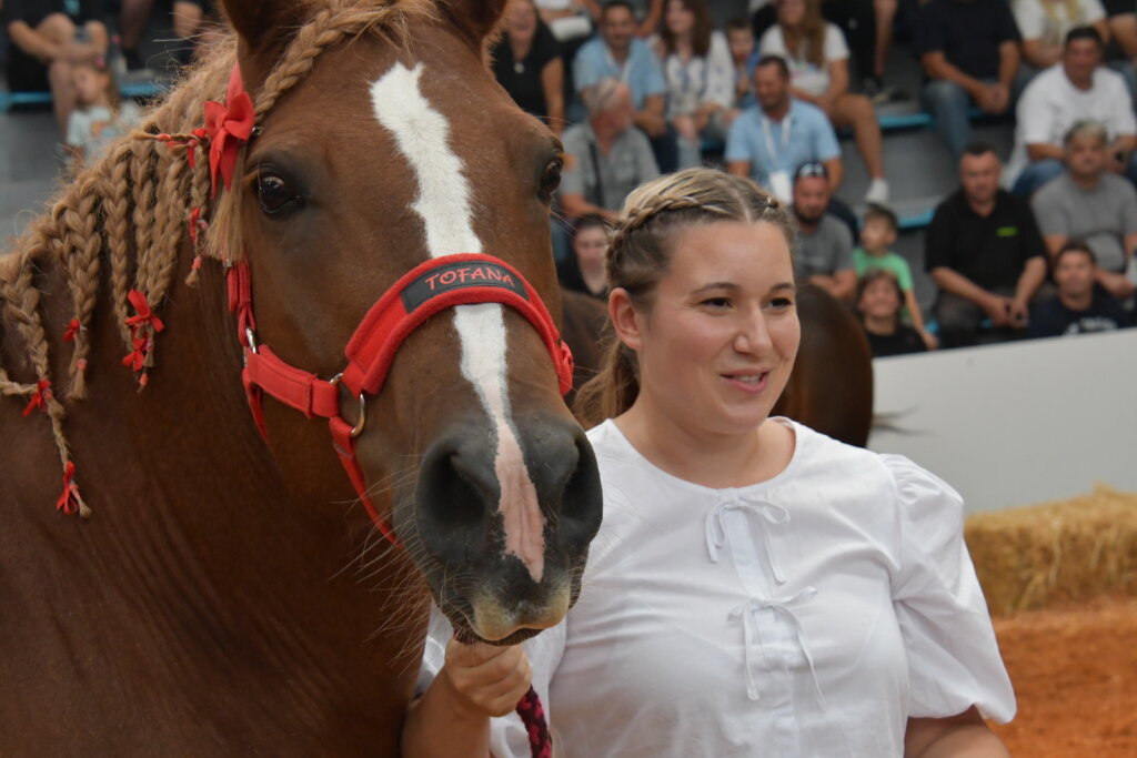 Lijepom fotkom u novi dan