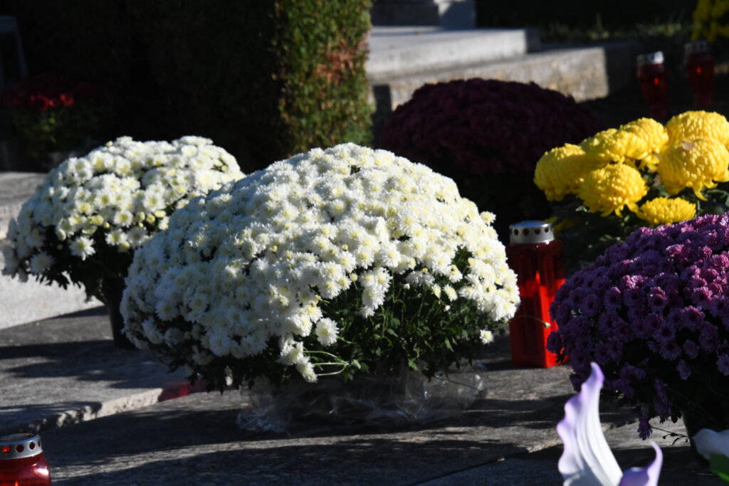 Posljednji ispraćaj