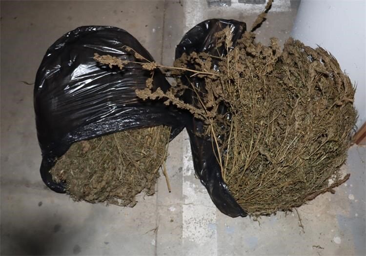 Križevačka policija zaplijenila 3,6 kilograma marihuane, dvojac završio u pritvoru
