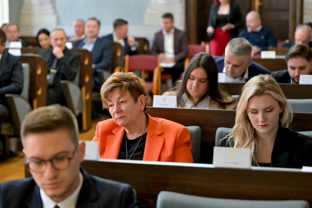 Zupanijska Skupstina Studeni 2025 (6)