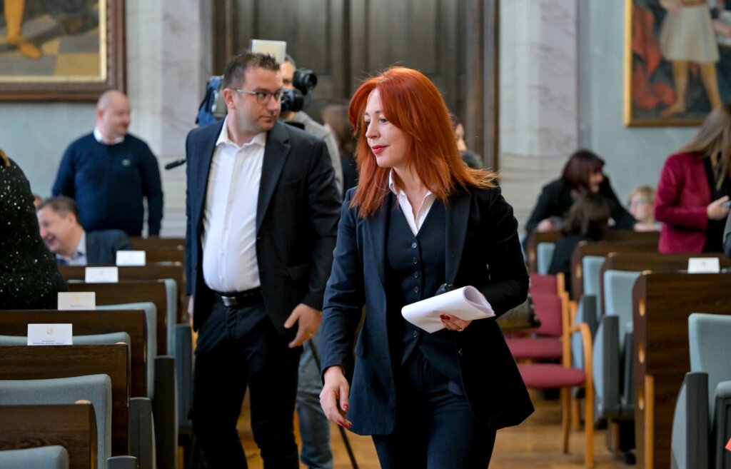 Zupanijska Skupstina Studeni 2025 (8)