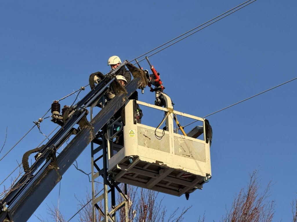 603054398 10227861343192908 2494594251873786462 N